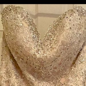 Like New worn a few hours Beautiful Full of Sparkle Wedding Dress